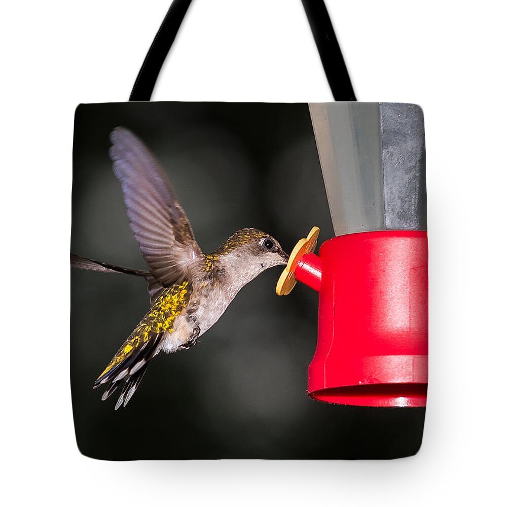Hummingbird Tote Bag featuring the photograph Hummingbird Gets A Drink by Holden The Moment