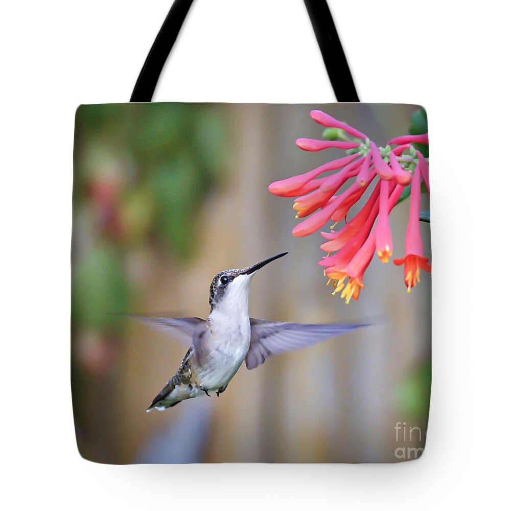 Hummingbird Tote Bag featuring the photograph Hummingbird Happiness 2 by Kerri Farley