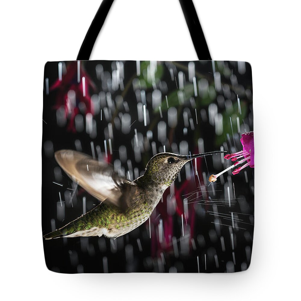Action Tote Bag featuring the photograph Hummingbird hovering in rain with splash by William Lee