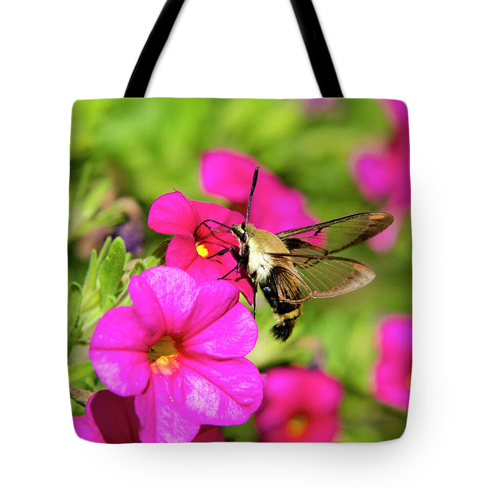 Hummingbird Moth Tote Bag featuring the photograph Hummingbird Moth by Christina Rollo