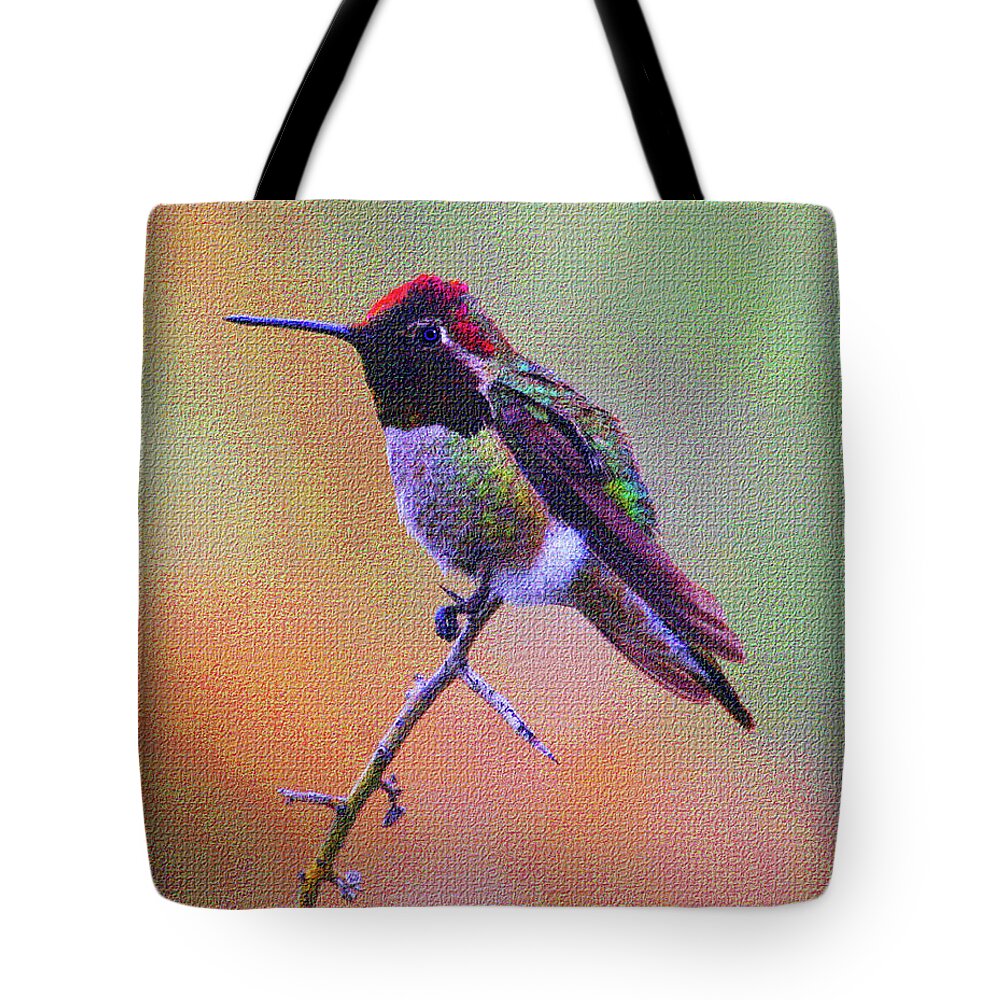 Hummingbird Tote Bag featuring the photograph Hummingbird On A Stick by Tom Janca