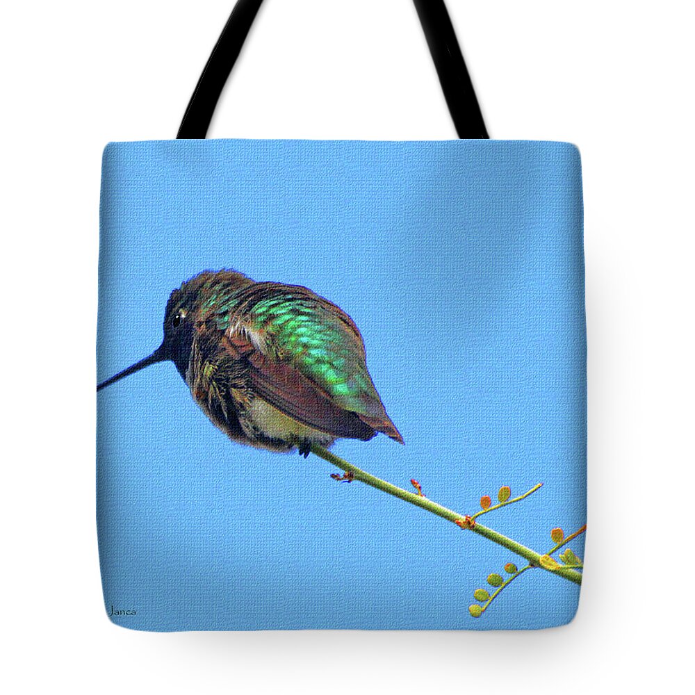 Hummingbird Resting Tote Bag featuring the photograph Hummingbird Resting by Tom Janca