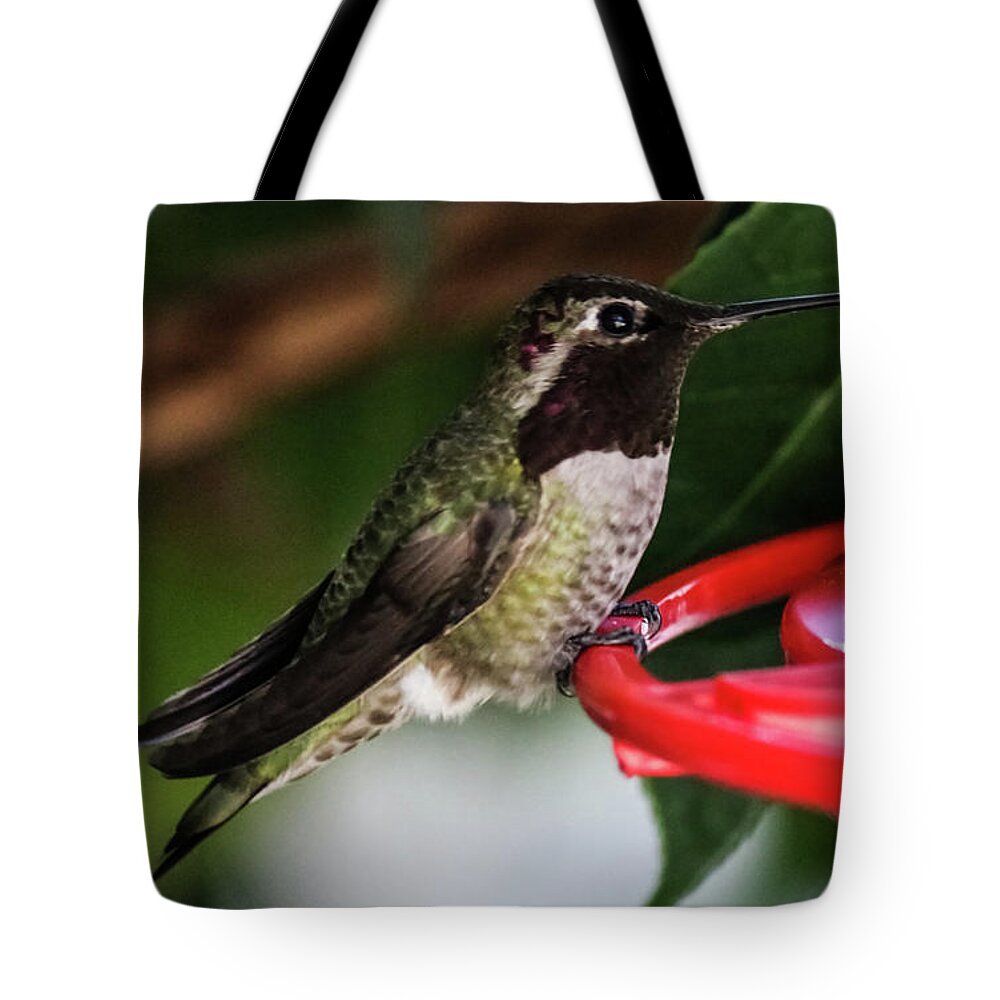 Hummingbird Tote Bag featuring the photograph Hummingbird by Suzanne Luft