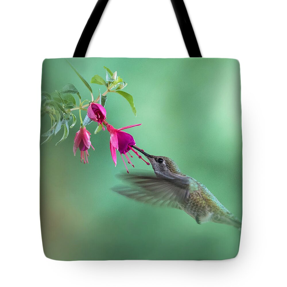 Hummingbird Tote Bag featuring the photograph Hummingbird Tranquility by Angie Vogel