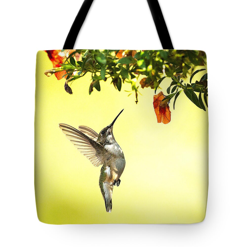 Hummingbird Tote Bag featuring the photograph Hummingbird Under the Floral Canopy by William Jobes