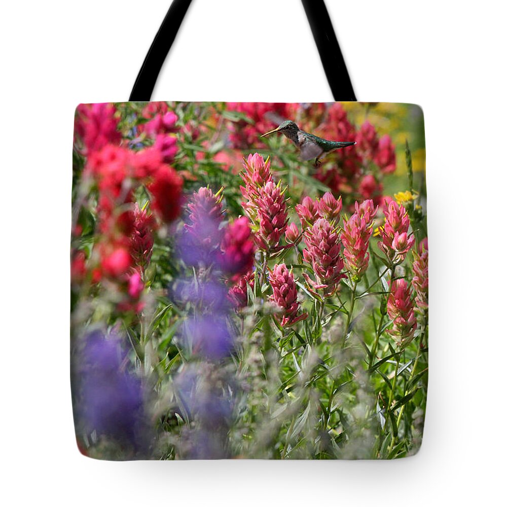 Wildflower Tote Bag featuring the photograph Hummingbird with Wildflowers by Brett Pelletier
