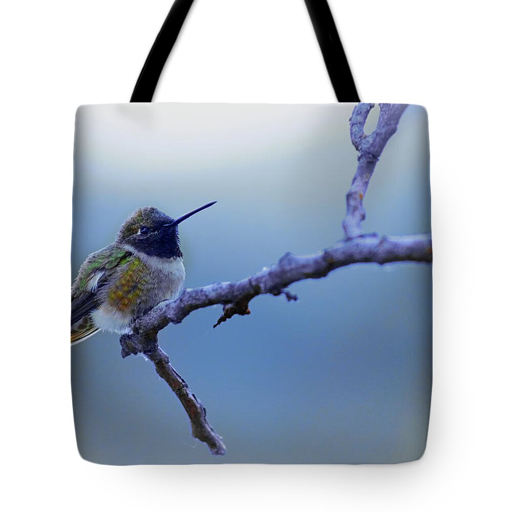 Hummingbird Tote Bag featuring the photograph Hummingbird11 by Loni Collins