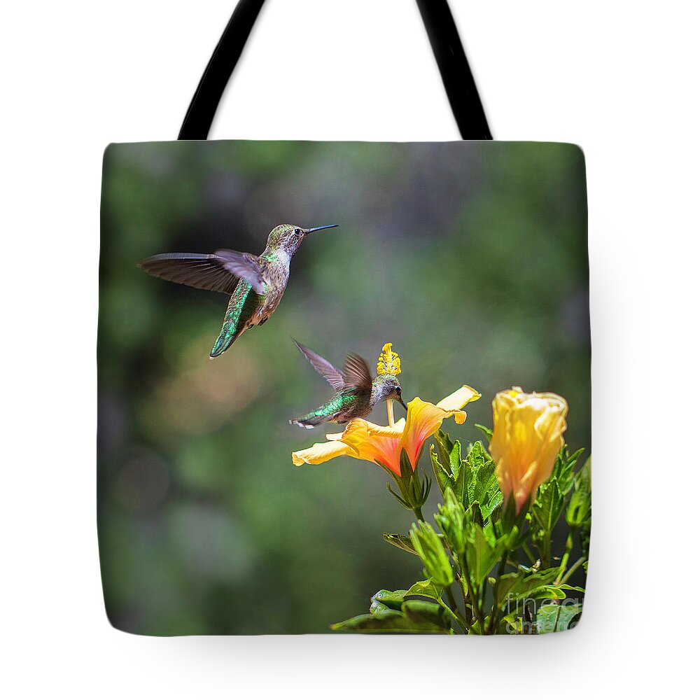 Hummingbirds Tote Bag featuring the photograph Hummingbirds by Mimi Ditchie