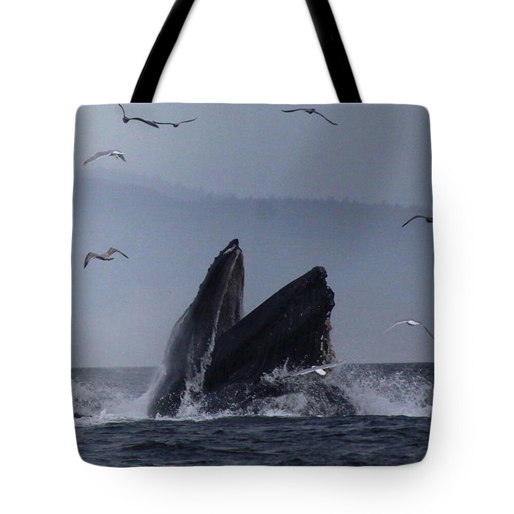 Water Tote Bag featuring the photograph Humpback by Lennie Malvone