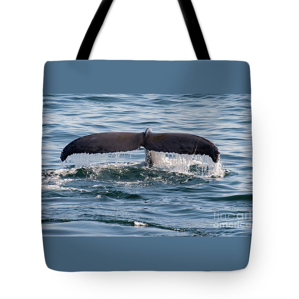 Humpback Tote Bag featuring the photograph Humpback Whale Flukes by Lorraine Cosgrove