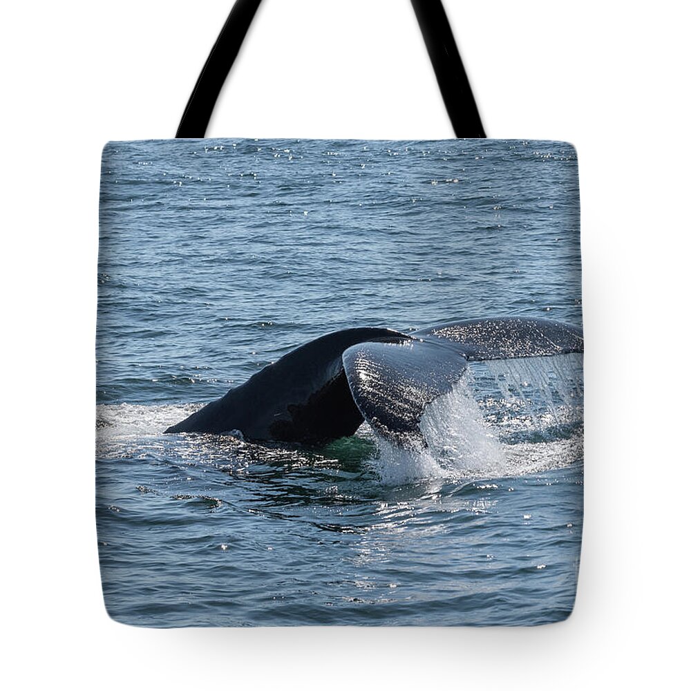 Humpback Tote Bag featuring the photograph Humpback Whale Tail 6 by Lorraine Cosgrove