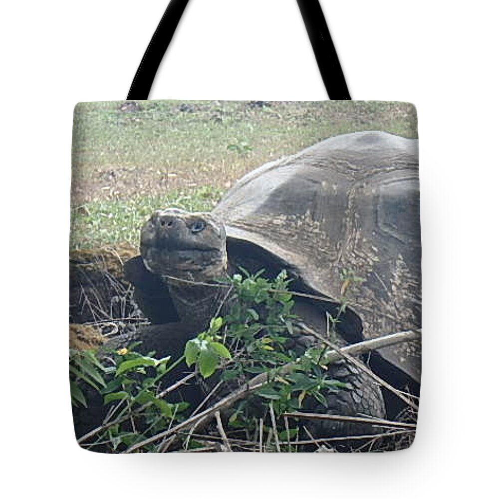  Tote Bag featuring the photograph Hunger Giant by Will Burlingham