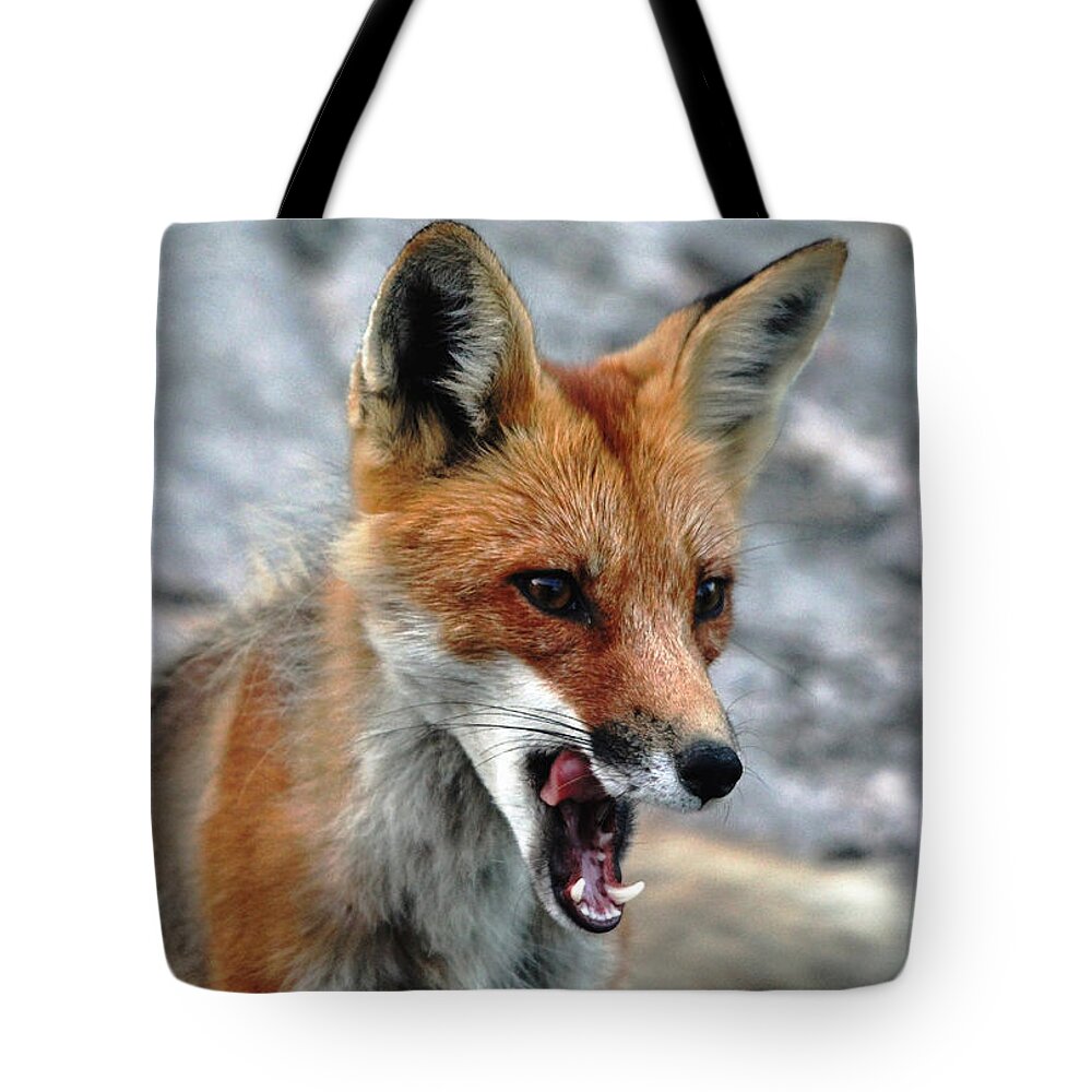 Fox Tote Bag featuring the photograph Hungry Red Fox Portrait by Debbie Oppermann