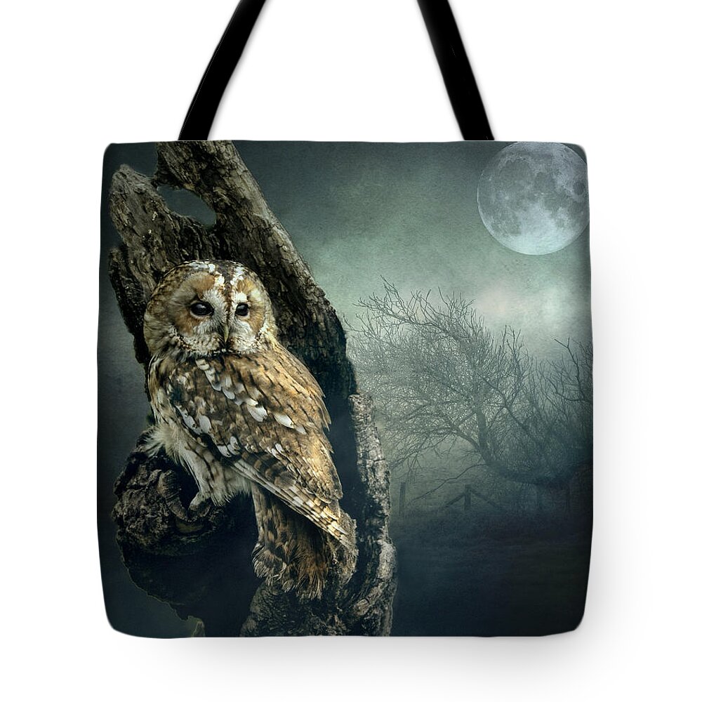 Owl Tote Bag featuring the photograph Hunter's Moon by Brian Tarr