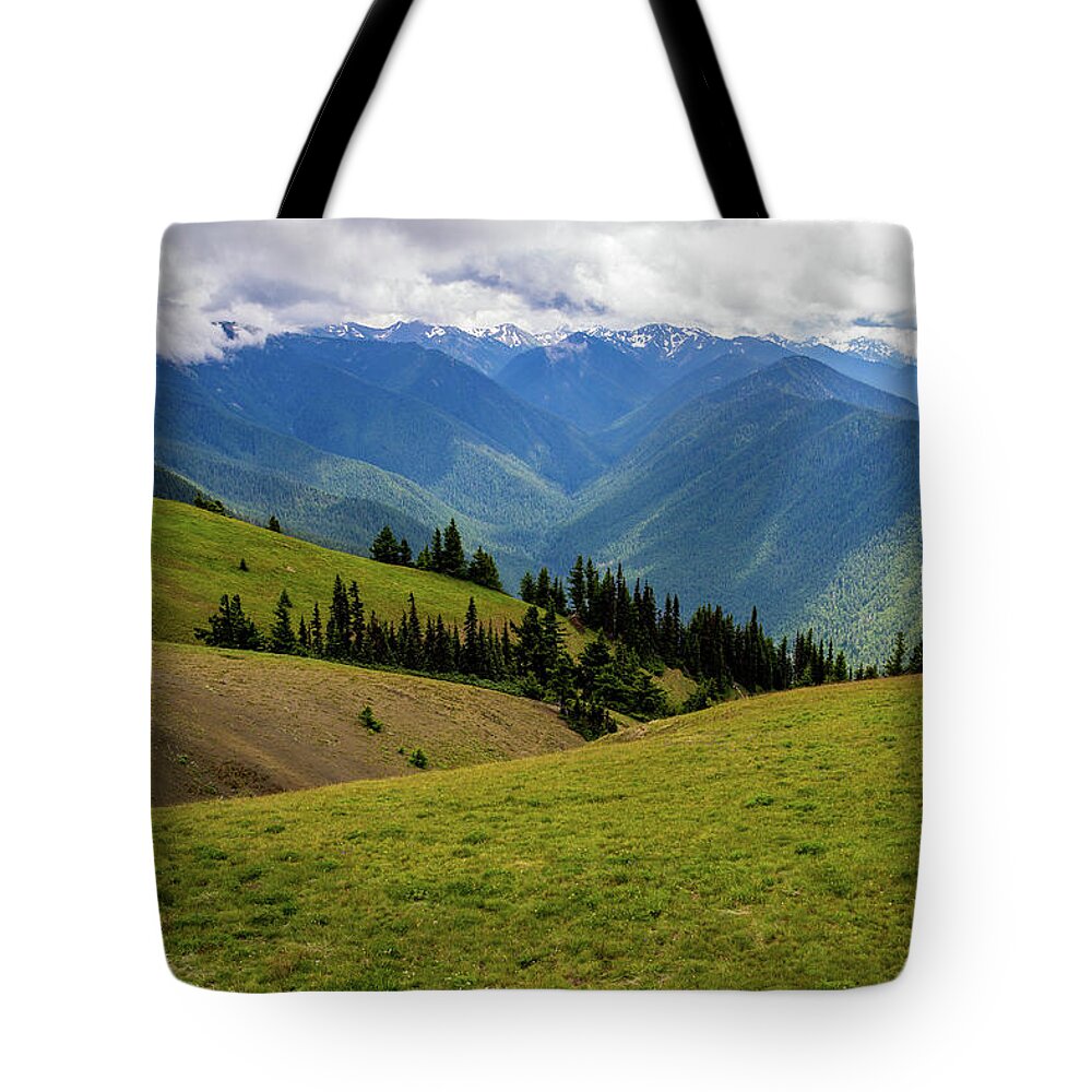 Adventure Tote Bag featuring the photograph Hurricane Ridge Green Fields and Blue Mountains by Roslyn Wilkins