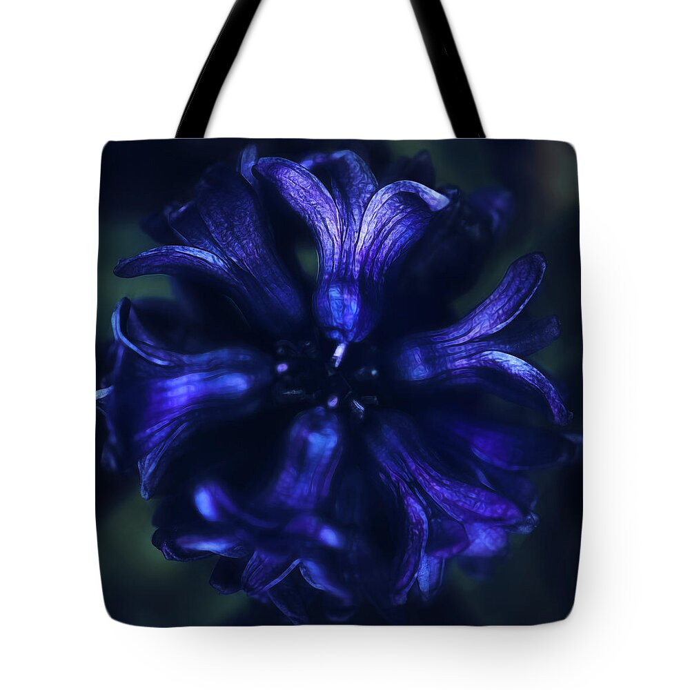 Bloom Tote Bag featuring the photograph Hyacinth by Robert FERD Frank