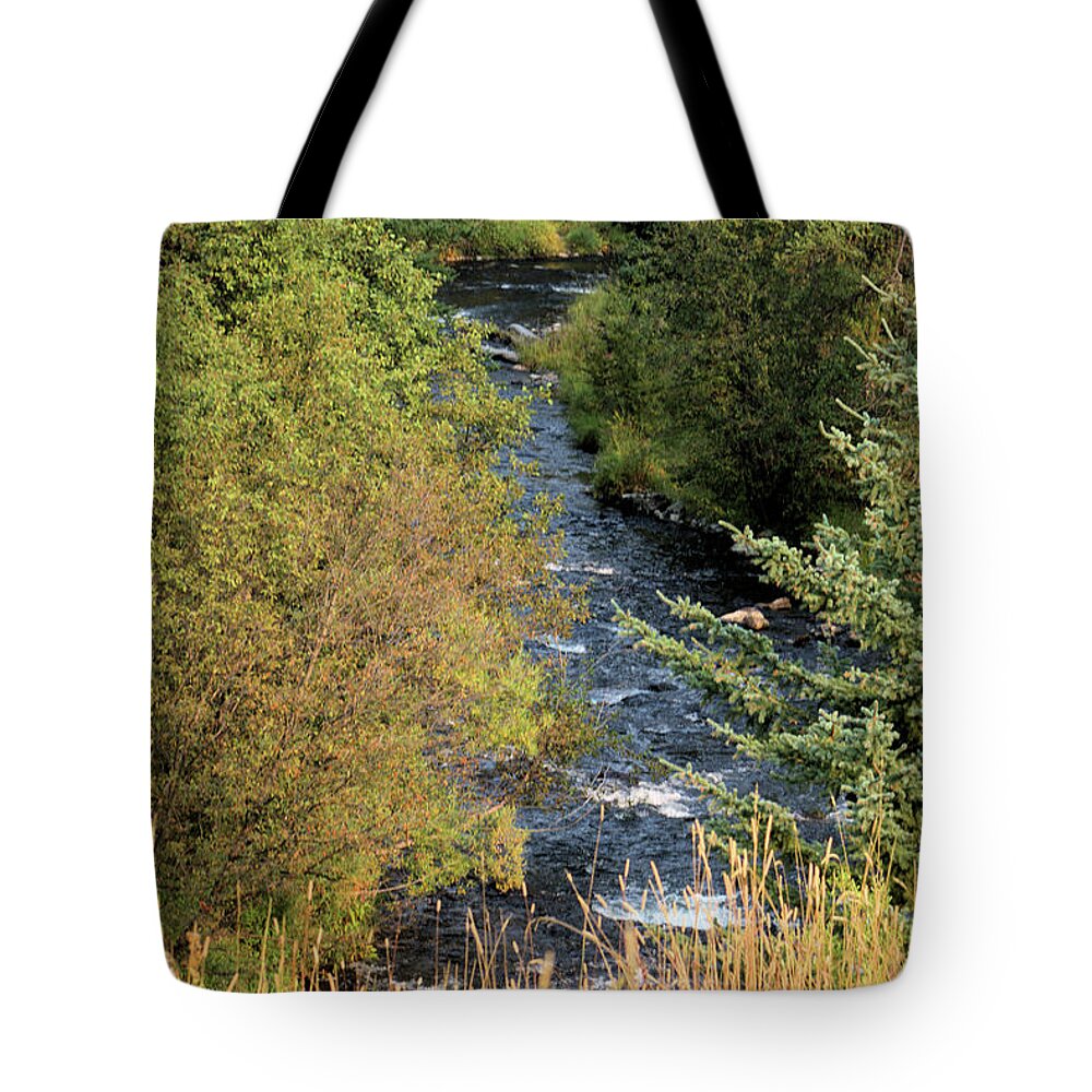 Water Tote Bag featuring the photograph Hyalite Creek Overlook by Scott Carlton