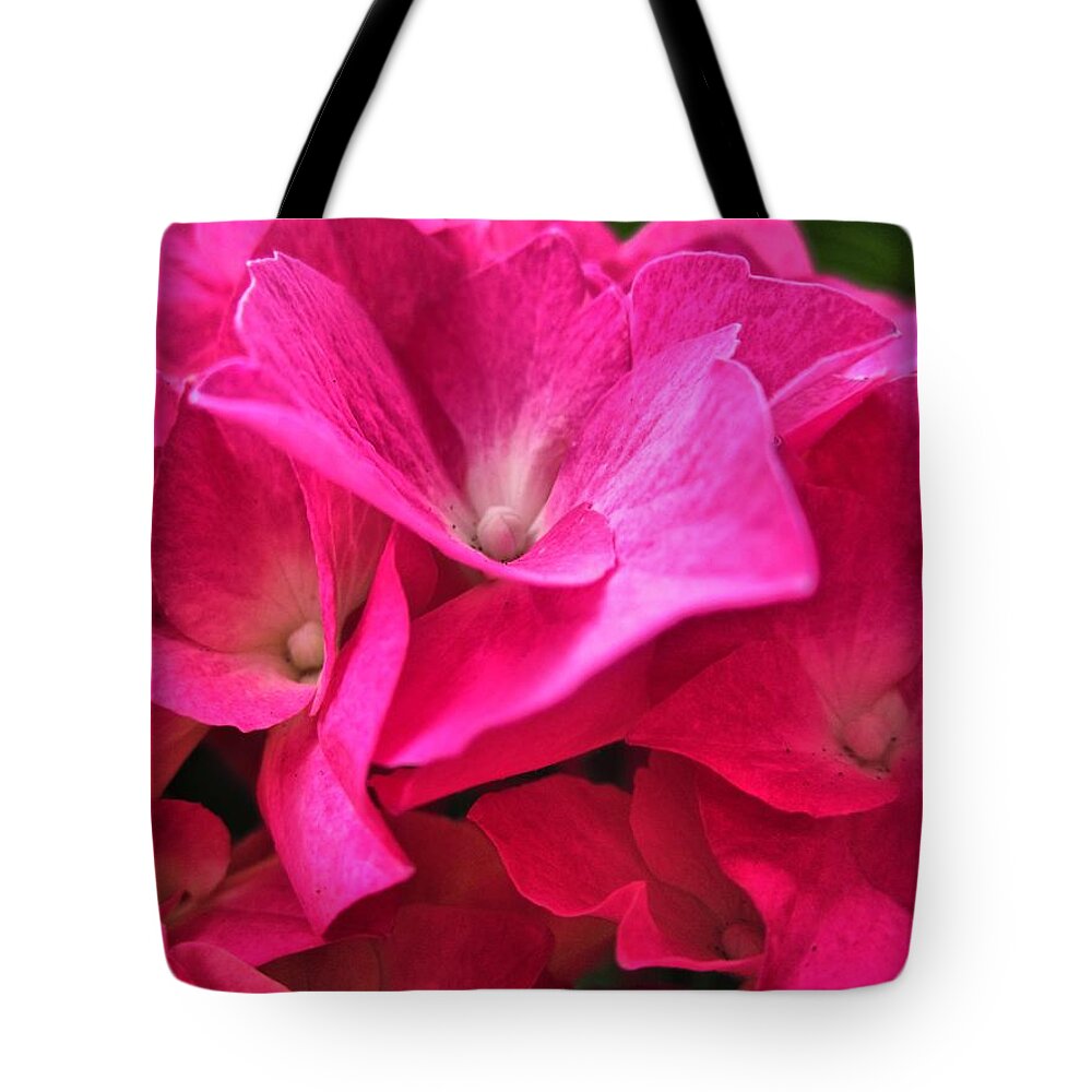 Hydrangea Tote Bag featuring the photograph Hydrangea Love by Spencer Hughes