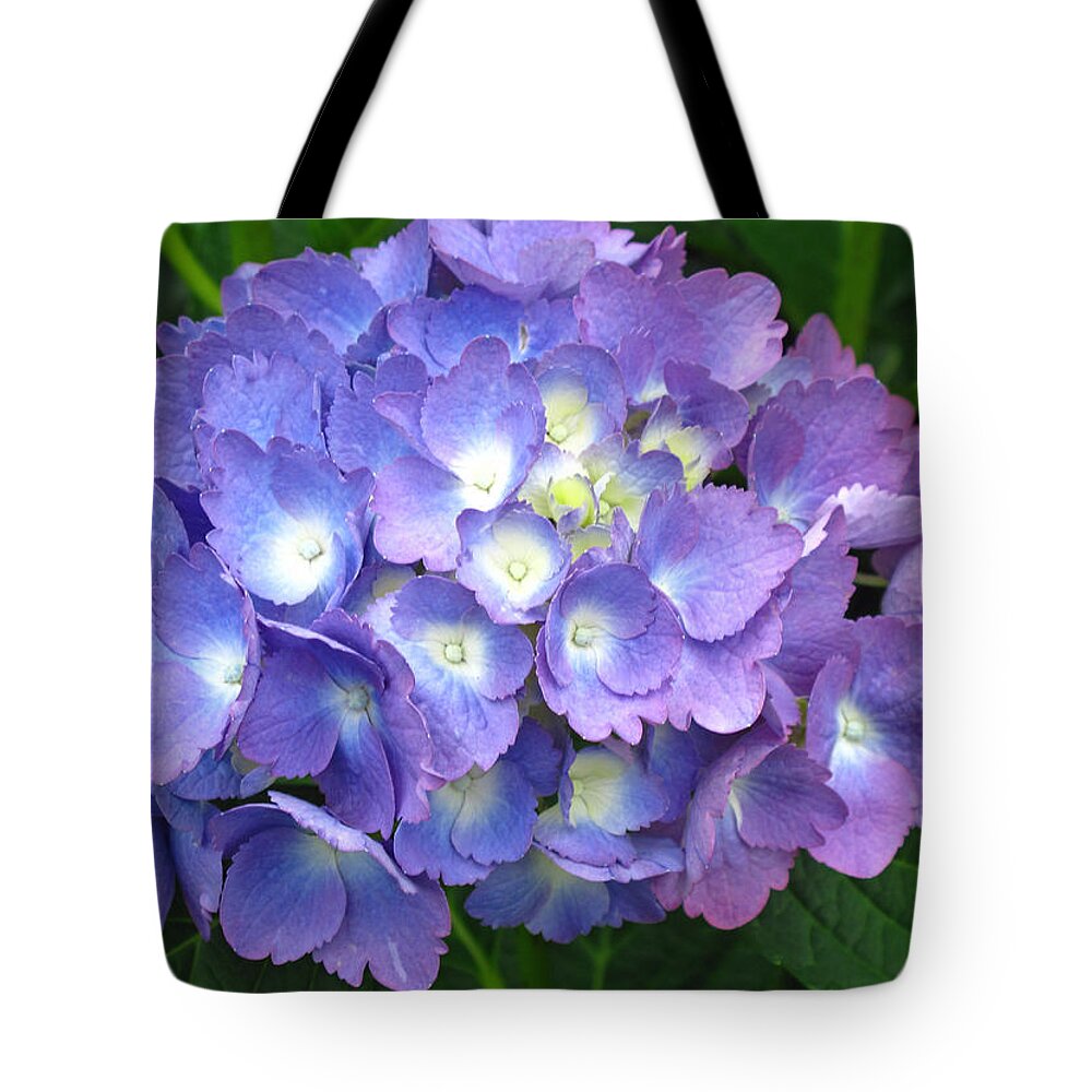 Hydrangea Tote Bag featuring the photograph Hydrangea Purple by Barbara McDevitt