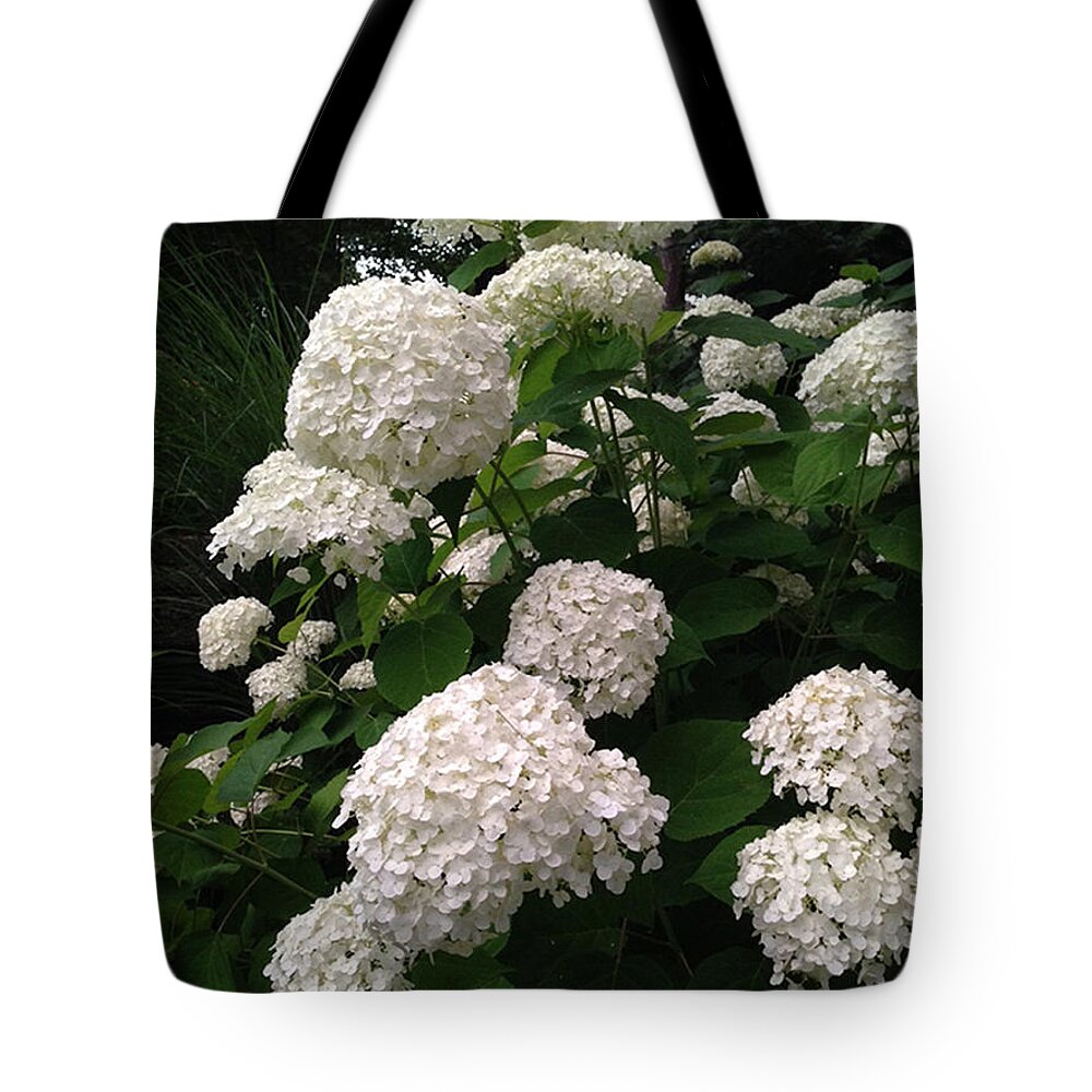 Flowers Tote Bag featuring the photograph Hydrangeas by Ferrel Cordle