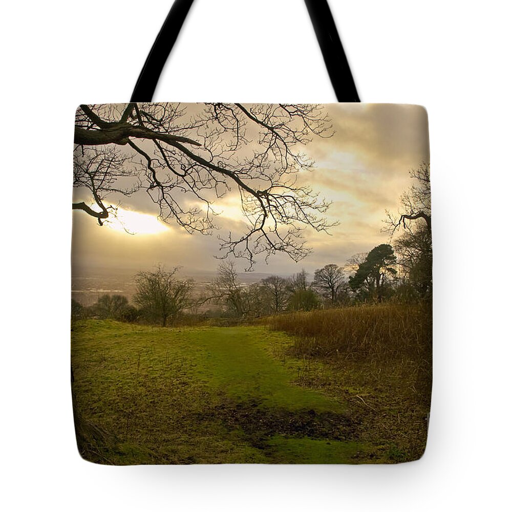 Sunset Tote Bag featuring the photograph I follow the sunset. by Elena Perelman
