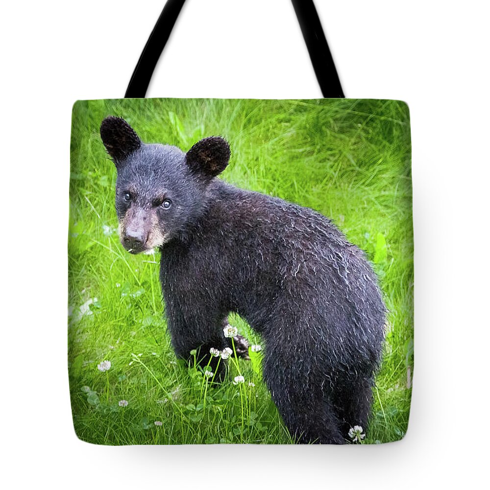 Alaska Tote Bag featuring the photograph I heard that by Tim Newton