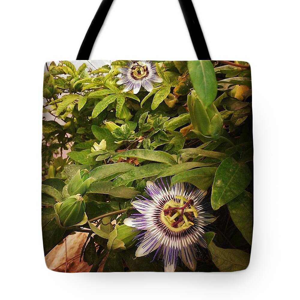 Flowers Tote Bag featuring the photograph Flowers of Malta 3 by Sacha Kinser
