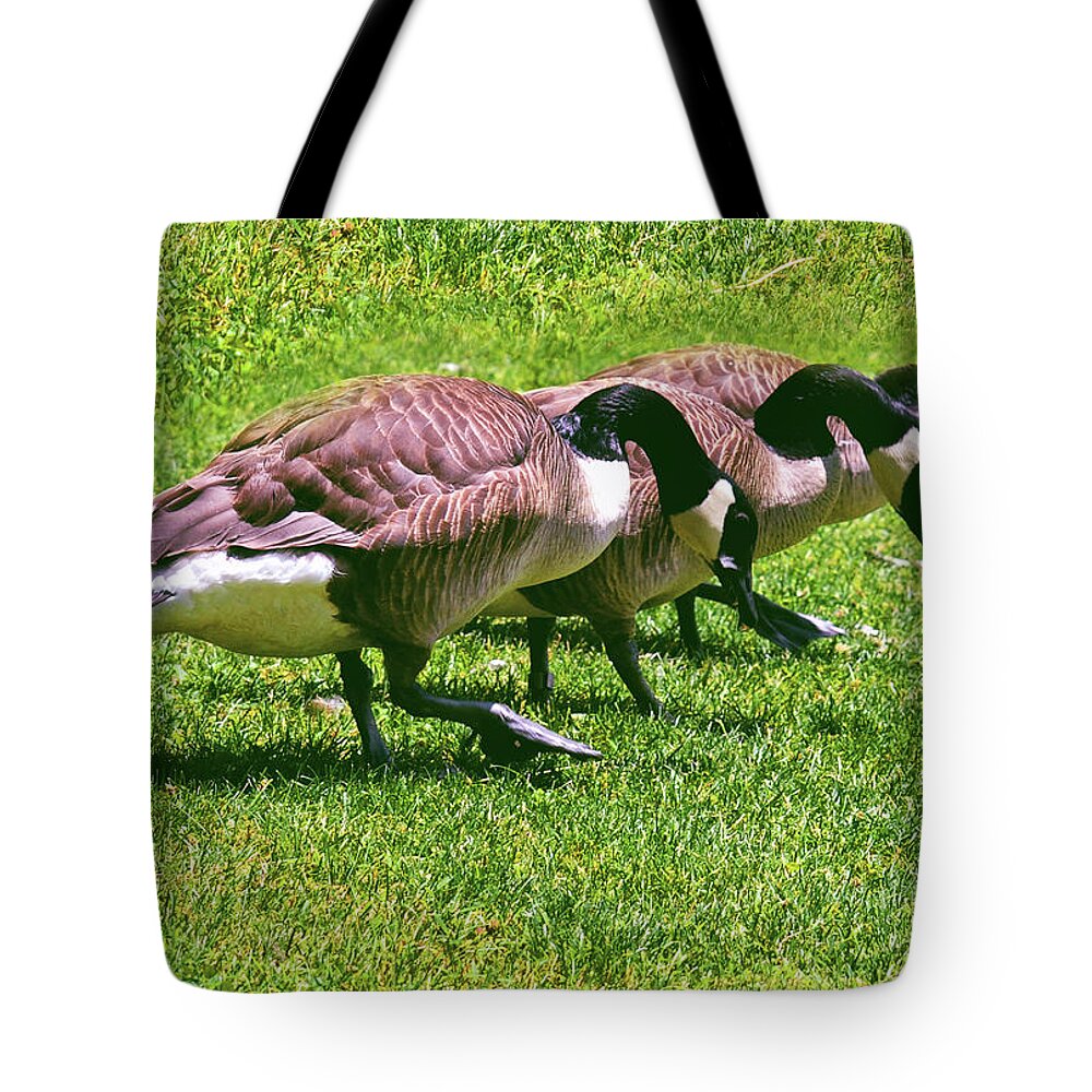 Geese Tote Bag featuring the photograph I Lost My Contact Lens 002 by George Bostian