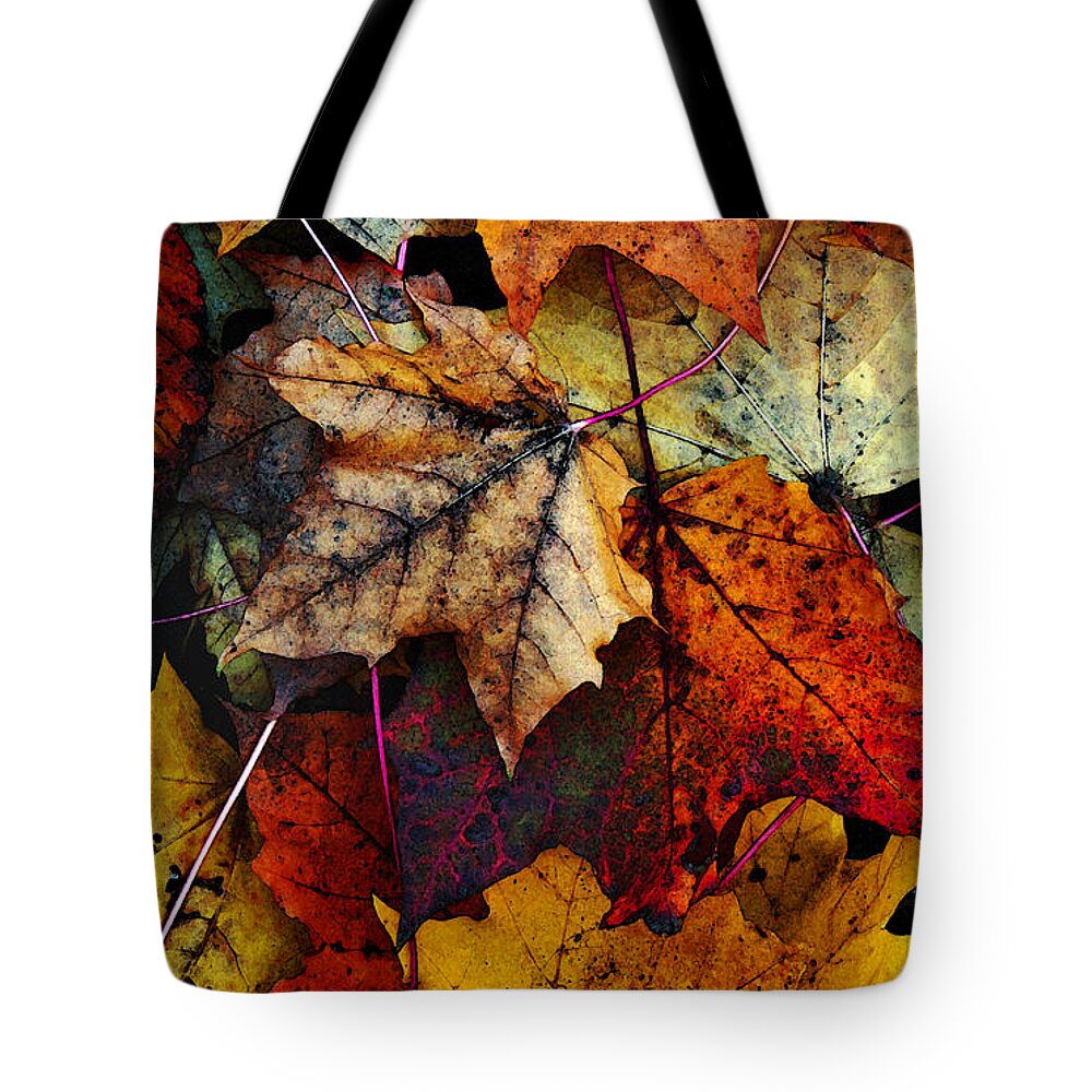 I Love Fall 2 Tote Bag for Sale by Joanne Coyle