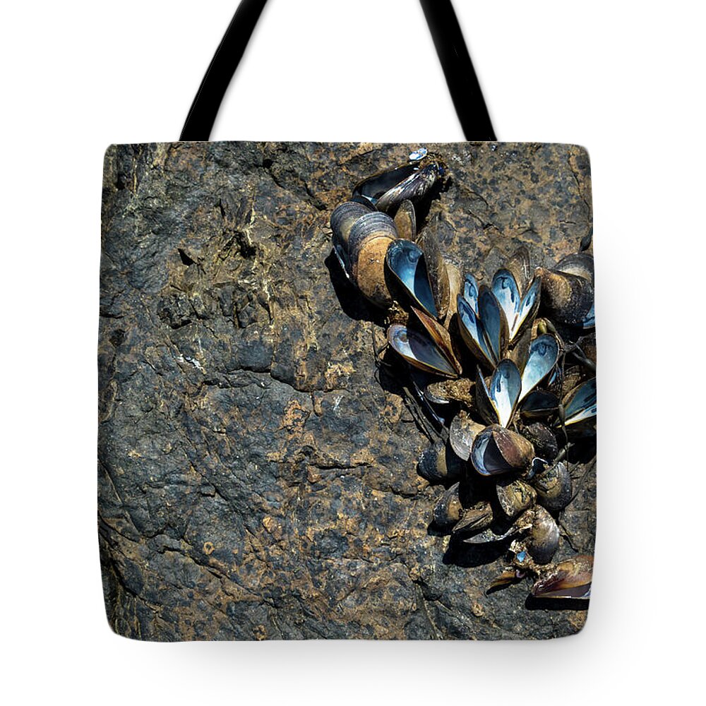 Maine Tote Bag featuring the photograph I Love Maine by Holly Ross