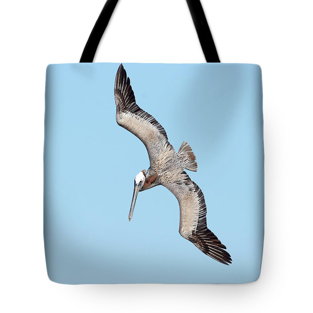 Darin Volpe Wildlife Tote Bag featuring the photograph I See You Down There Little Fishie - Avila Beach California by Darin Volpe