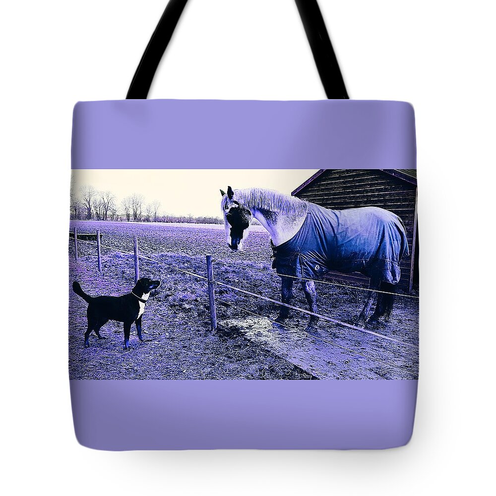 Dog Tote Bag featuring the photograph I See You In Twilight Blue by Rowena Tutty