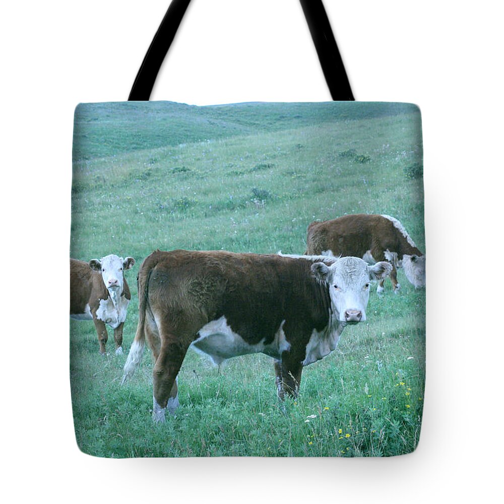 Agriculture Tote Bag featuring the photograph I See You by Mary Mikawoz