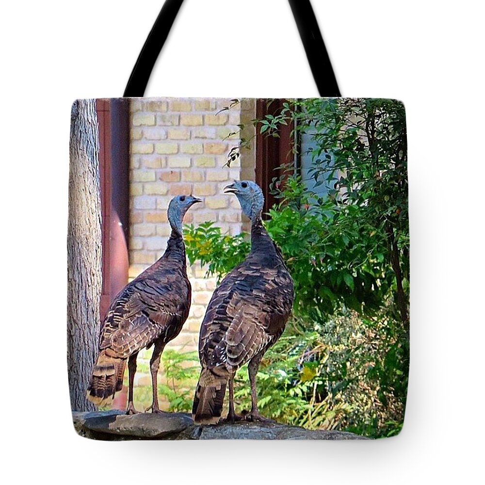 Instanaturelover Tote Bag featuring the photograph I Spotted Not Just These Two #wild by Austin Tuxedo Cat