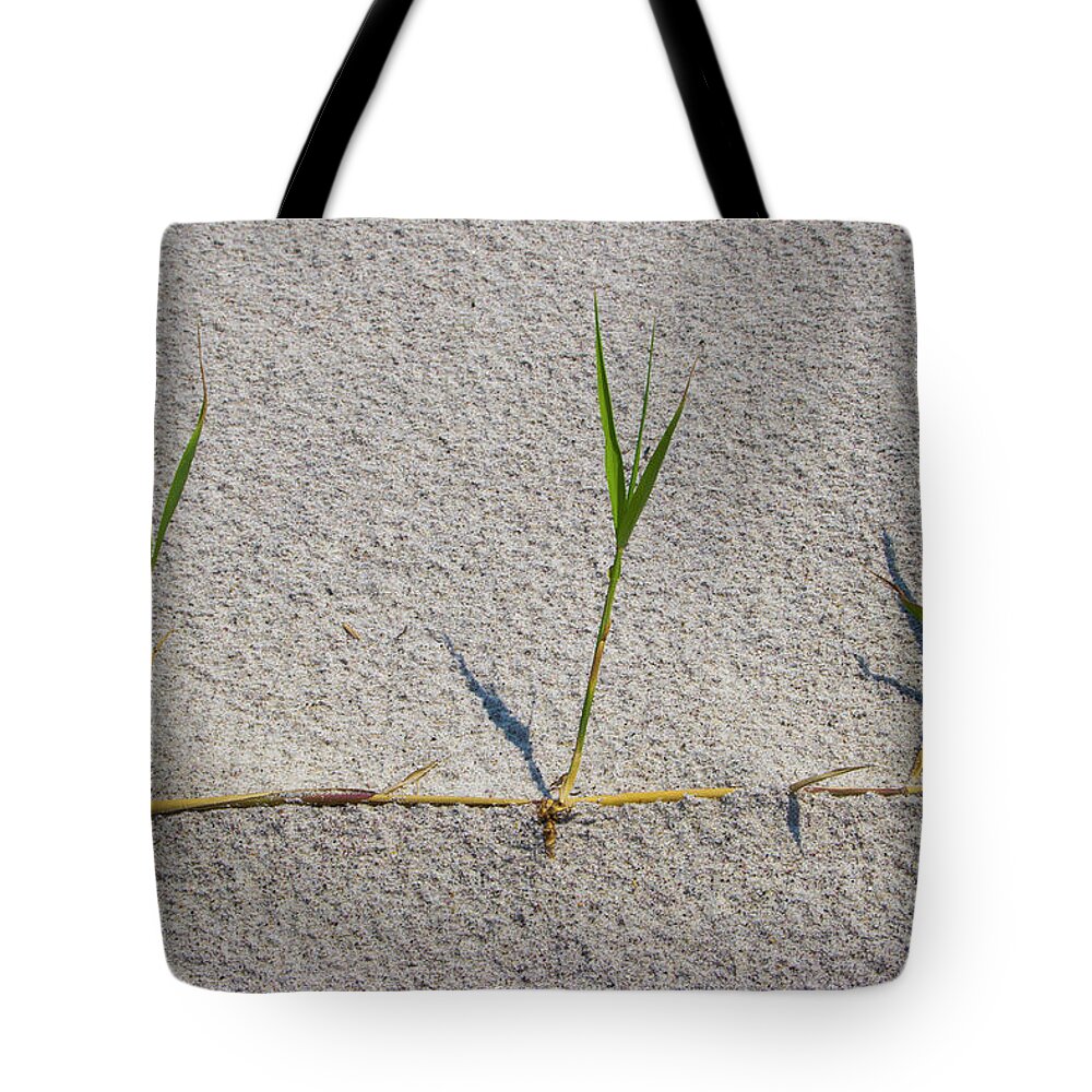 Beach Tote Bag featuring the photograph I think we have a runner by Steve Gravano