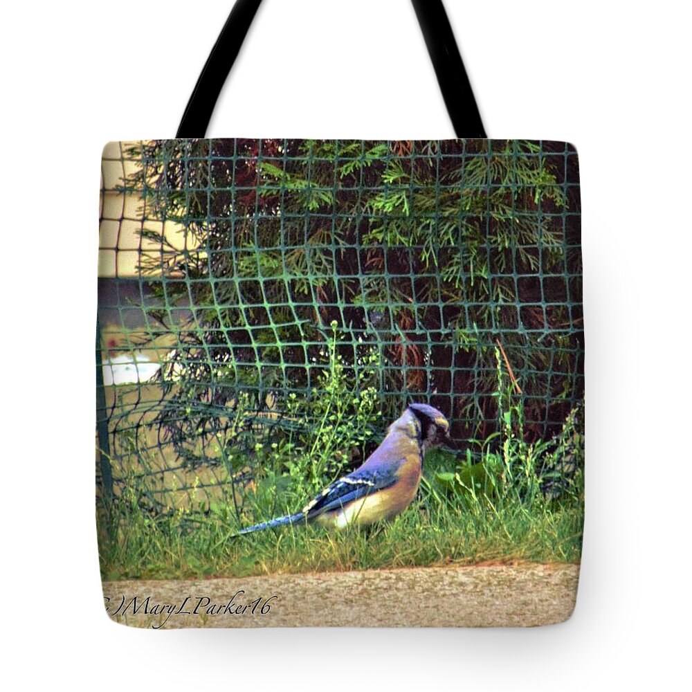 Bluejay Tote Bag featuring the photograph I walk alone by MaryLee Parker