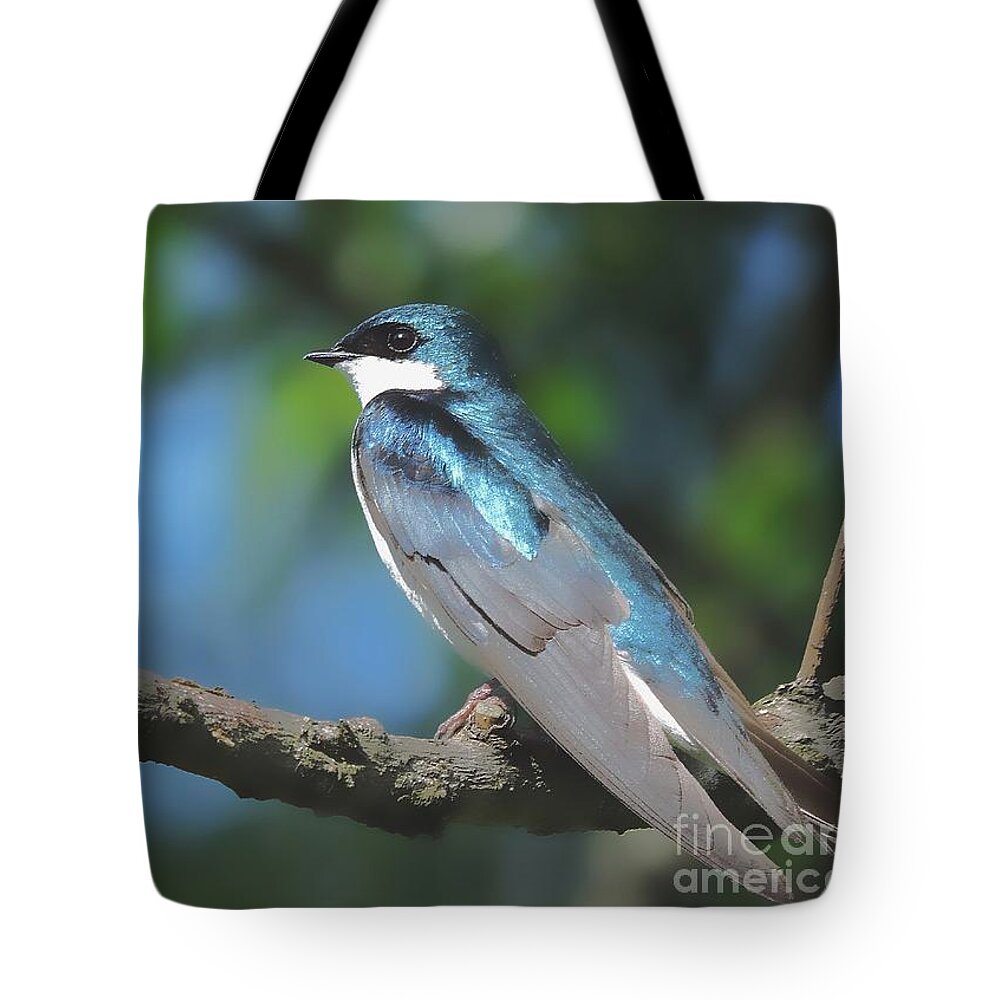 Tree Swallow Tote Bag featuring the photograph I Will Remember Too by Tami Quigley