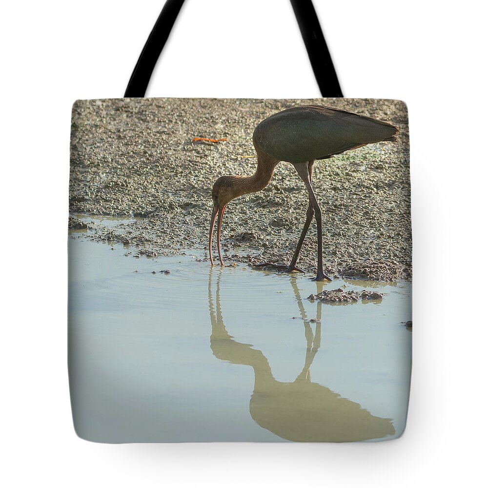 Ibis Tote Bag featuring the photograph Ibis 4727-091017-2cr by Tam Ryan