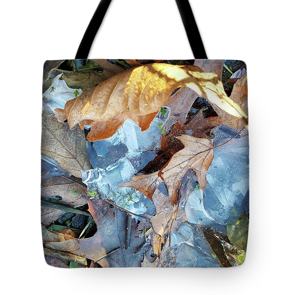 Composition Tote Bag featuring the photograph Ice and Fallen Leaves by Lynn Hansen