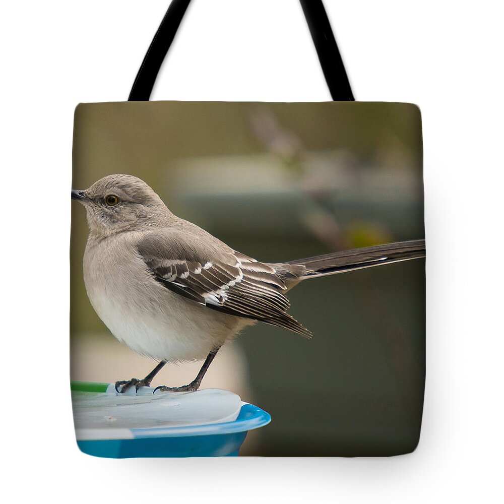 Ice Water Tote Bag featuring the photograph Ice Water by Robert L Jackson