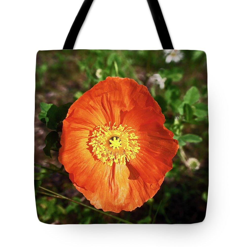 Iceland Poppy Tote Bag featuring the photograph Iceland poppy by Sally Weigand