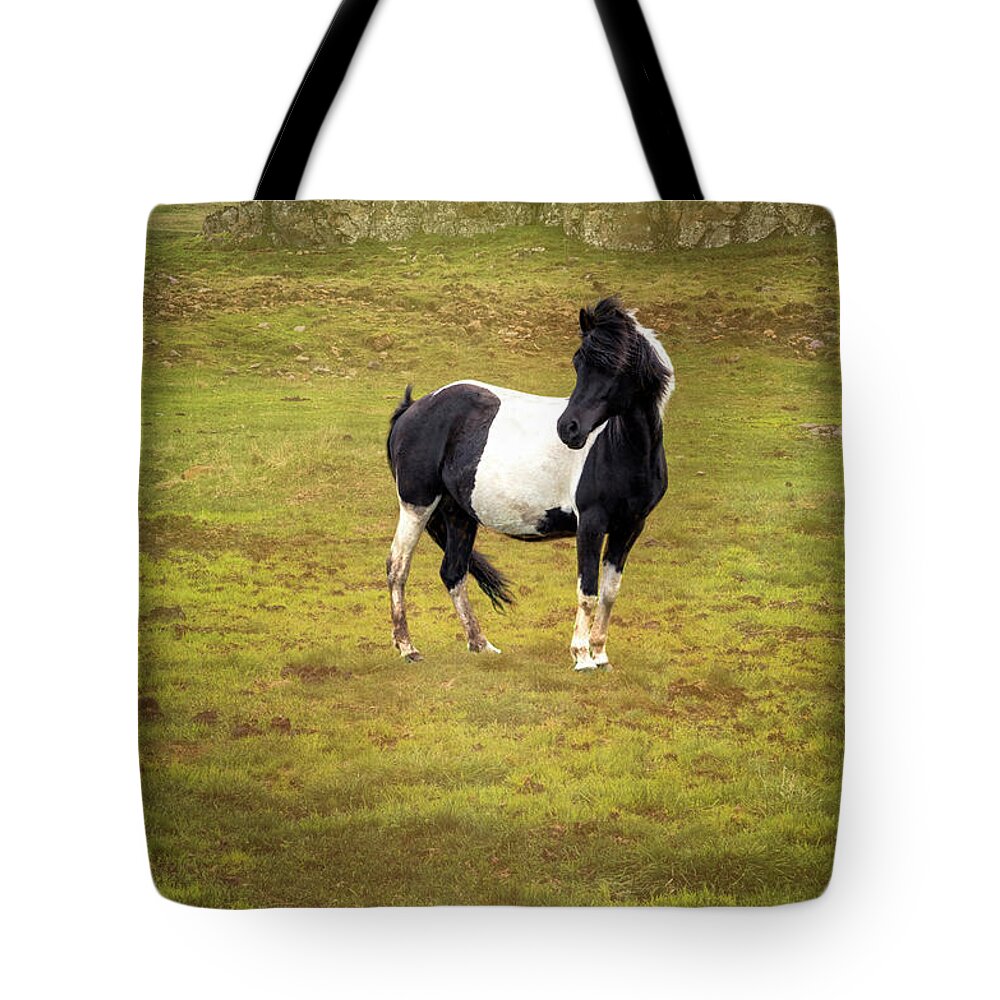 Iceland Tote Bag featuring the photograph Icelandic Horse II by Tom Singleton
