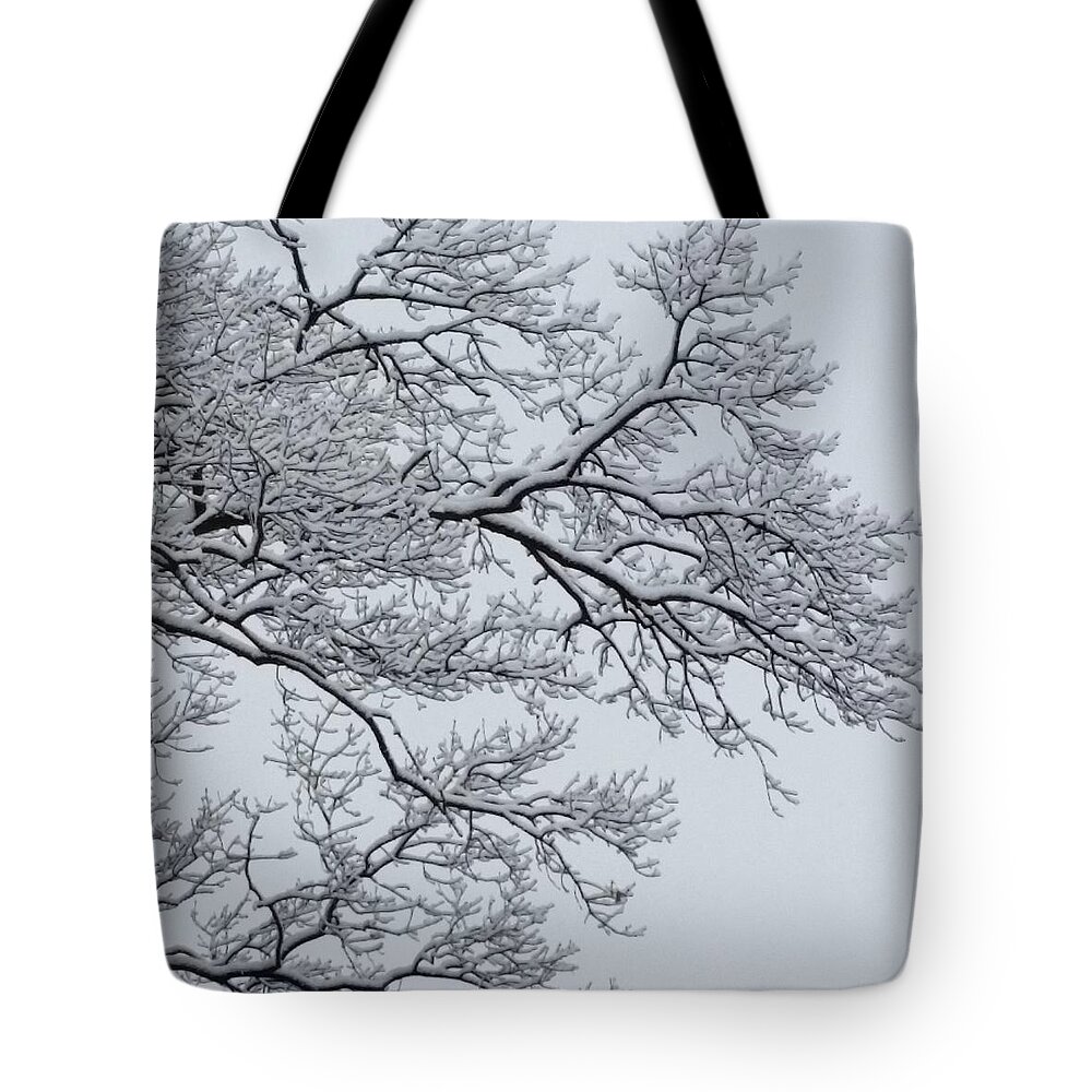 Ice Tote Bag featuring the photograph Icey Winter Branch by Vic Ritchey