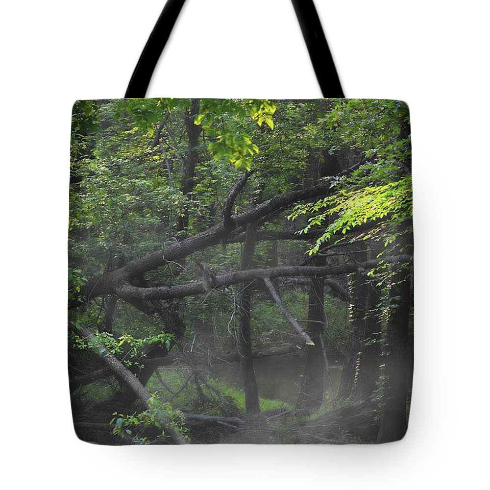 Scenic Tours Tote Bag featuring the photograph If A Tree Falls In The Woods by Skip Willits