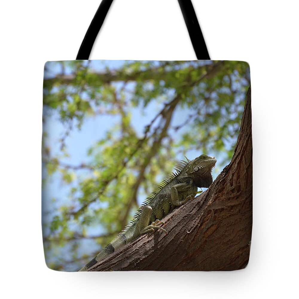Iguana Tote Bag featuring the photograph Iguana Climbing Up a Tree Trunk by DejaVu Designs