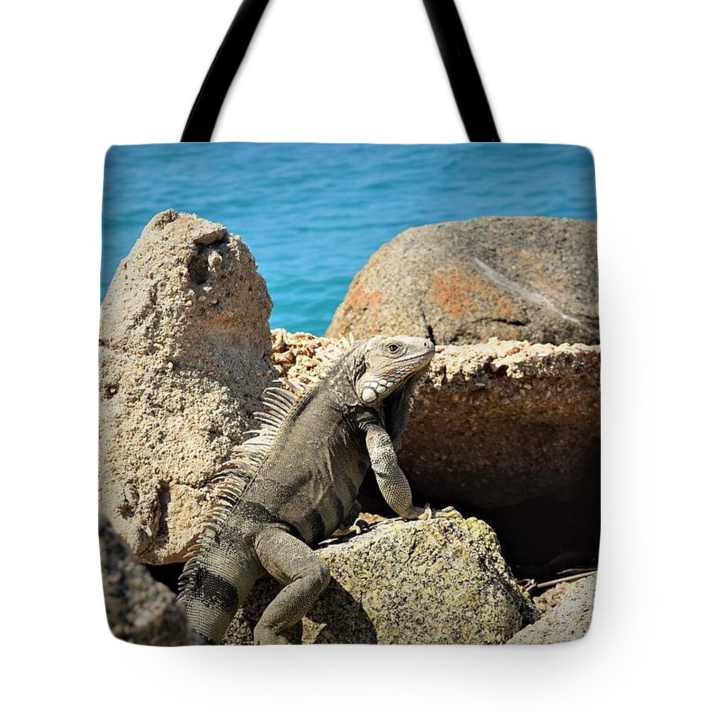 Iguana Tote Bag featuring the pyrography Iguana by Gary Smith