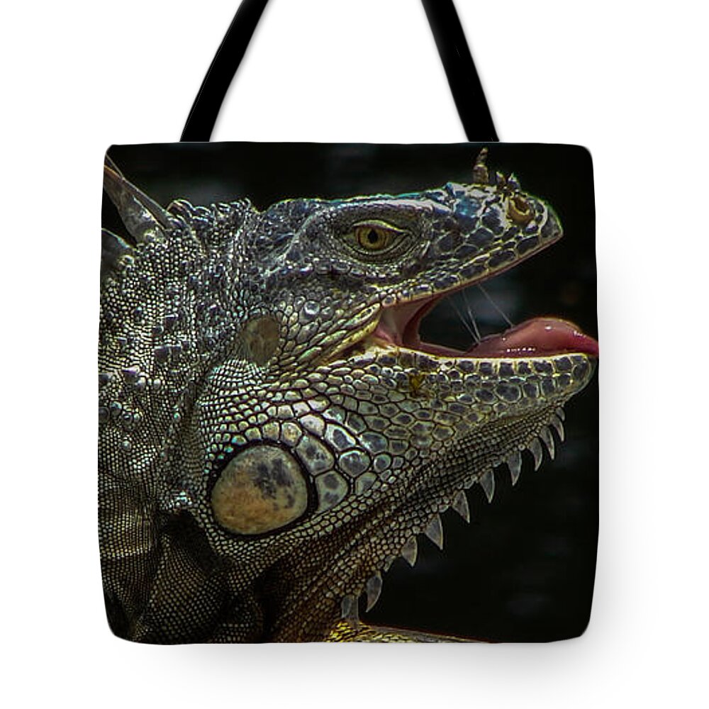 Dragon Tote Bag featuring the photograph Iguana Sun tan by Carl Moore