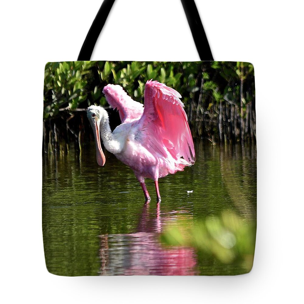 Spoonbill Tote Bag featuring the photograph I Believe I Can Fly by Carol Bradley