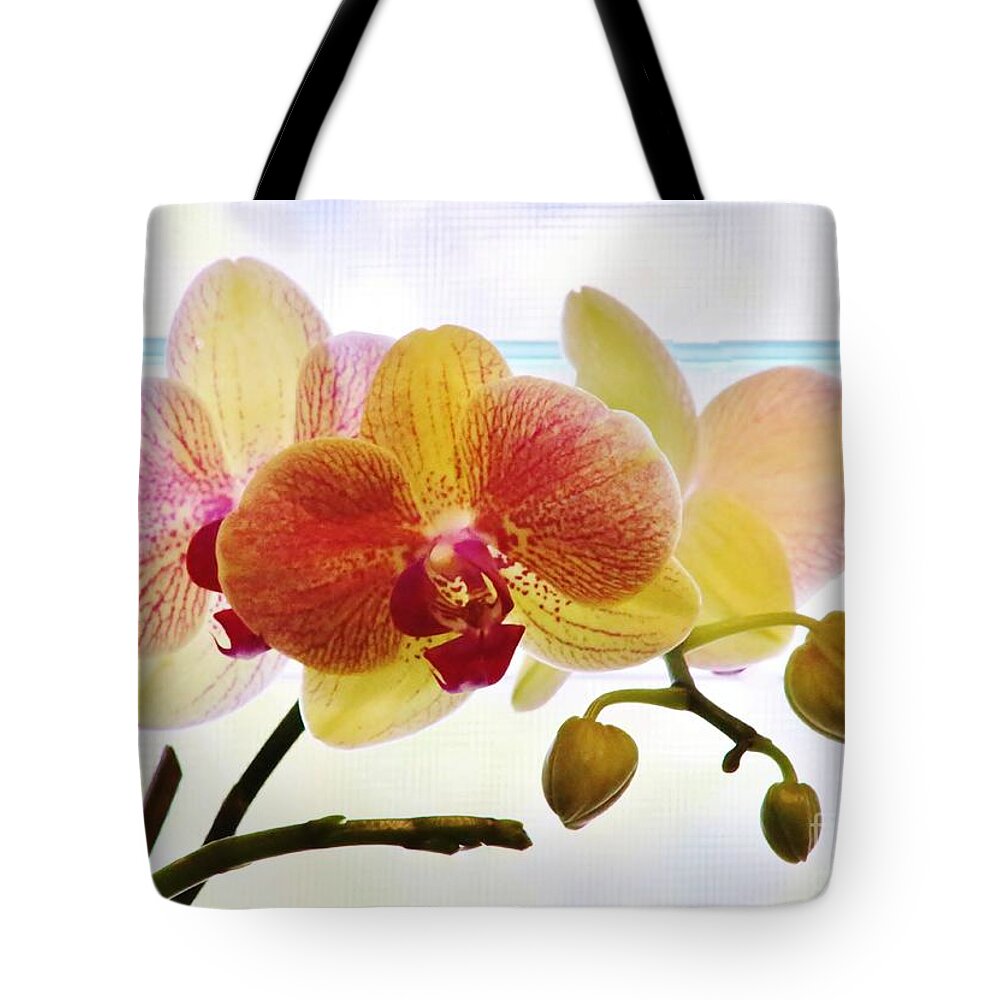 Orchid Tote Bag featuring the photograph Illuminated by Craig Wood