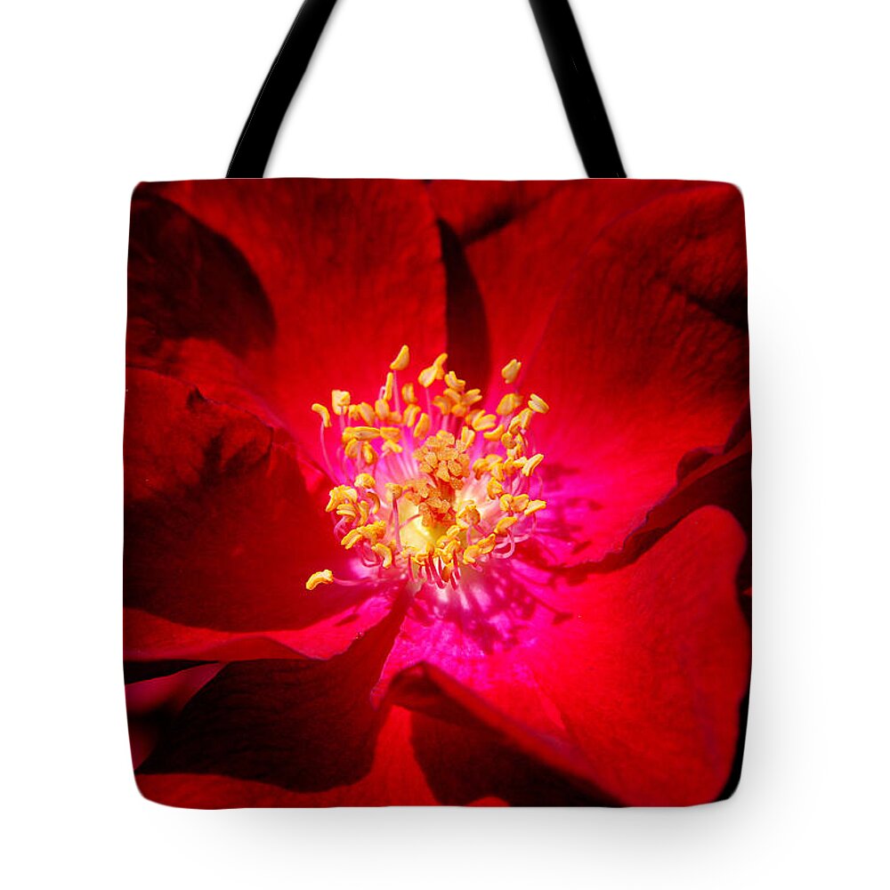 Illuminate Tote Bag featuring the photograph Illumination by Frozen in Time Fine Art Photography